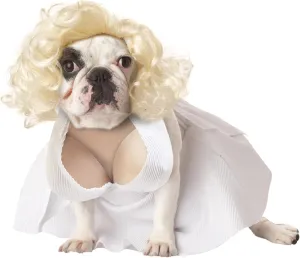 CALIFORNIA COSTUME COLLECTIONS Pet SILVER SCREEN STARLET Dog Costumes, White, X-Small US