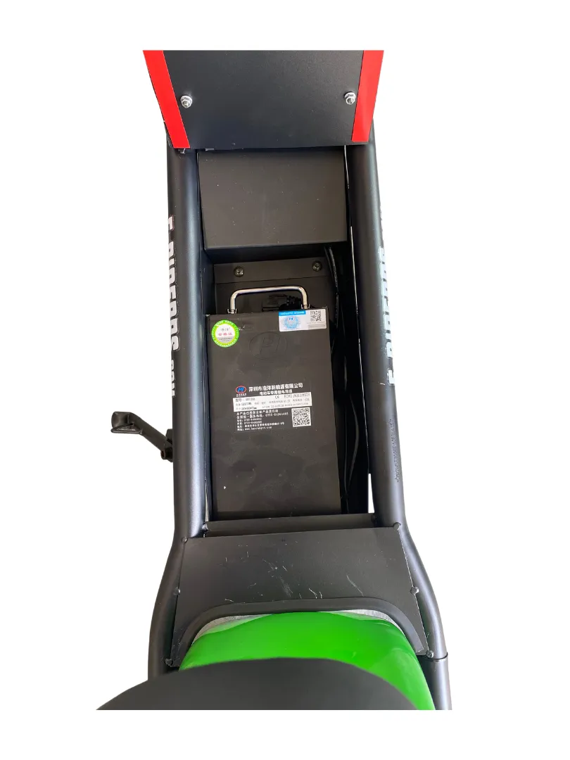 Green E-Riderrs