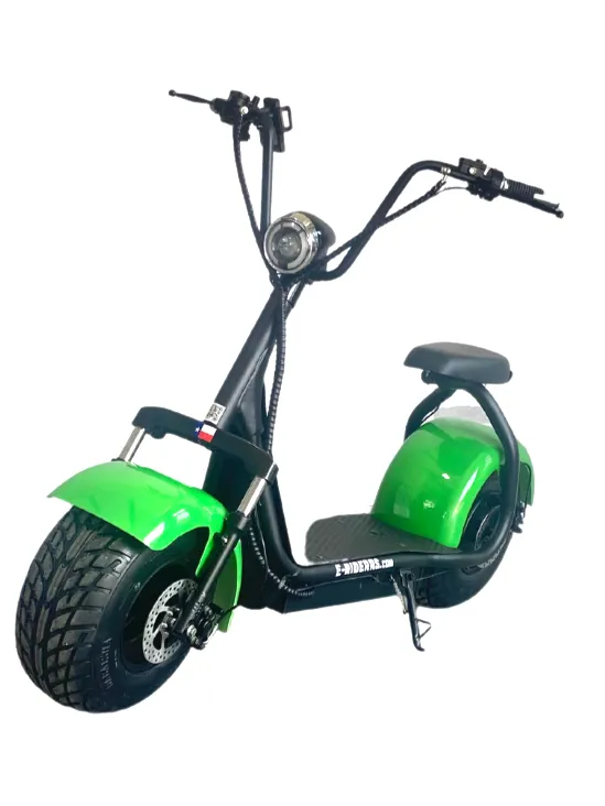 Green E-Riderrs