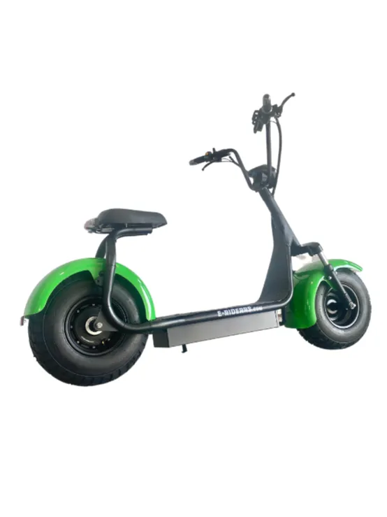 Green E-Riderrs