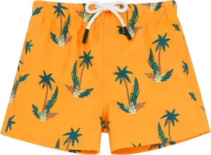 Toddler Swim Trunks Quick Dry Toddler Bathing Suits for Boys Swim Shorts Baby Swimsuit Boys Board Shorts Kids Swimwear