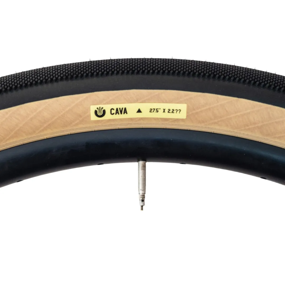 Ultradynamico Cava JFF Folding Tire